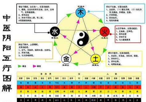 金 生 水|五行是水生金、还是金旺水 金生水是金旺还是水旺